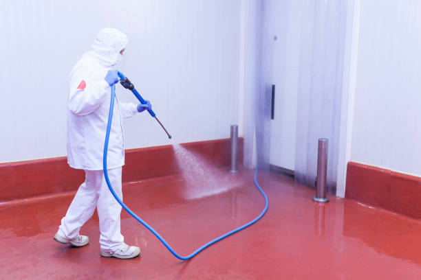 Best Playground Equipment Cleaning  in Wyldwood, TX